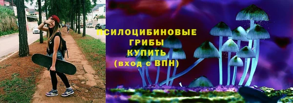 2c-b Зеленодольск