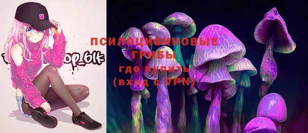 кристаллы Инта