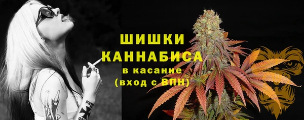 2c-b Зеленодольск