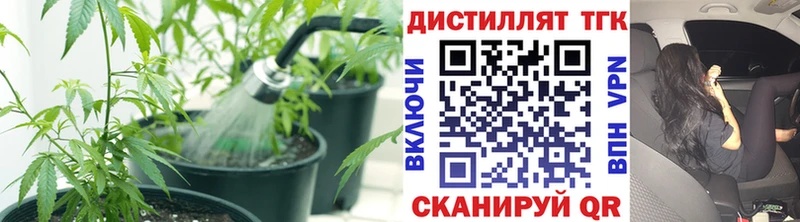 Дистиллят ТГК Wax  Купить  Кировград 